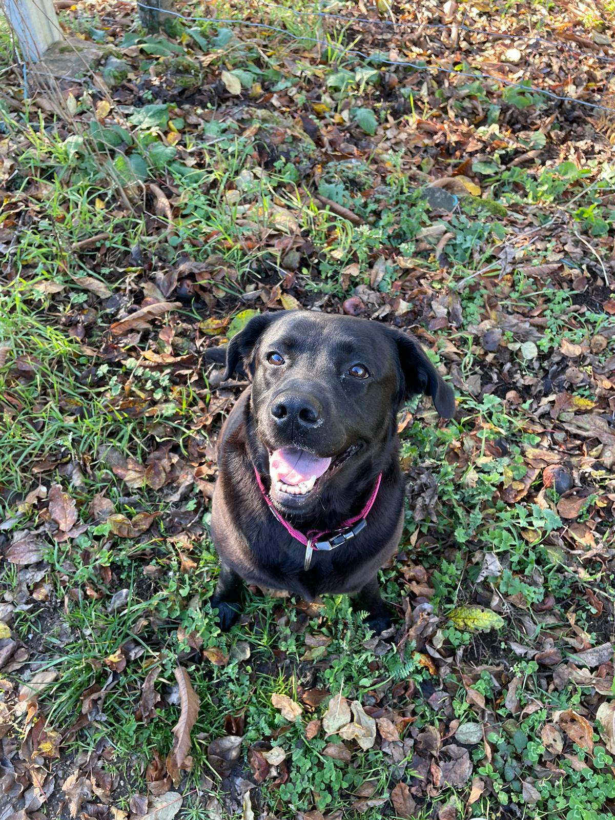 Coco