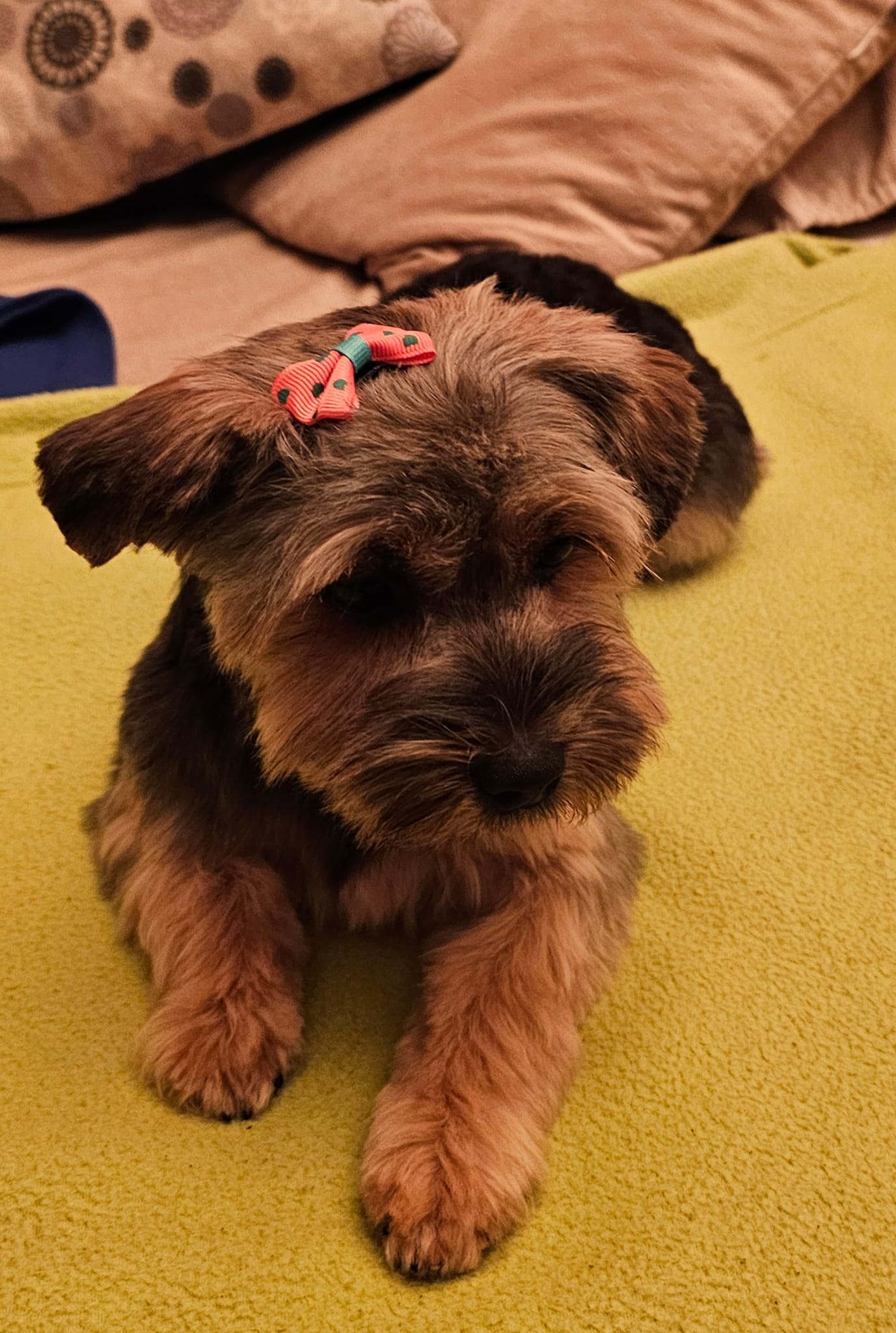 Tina