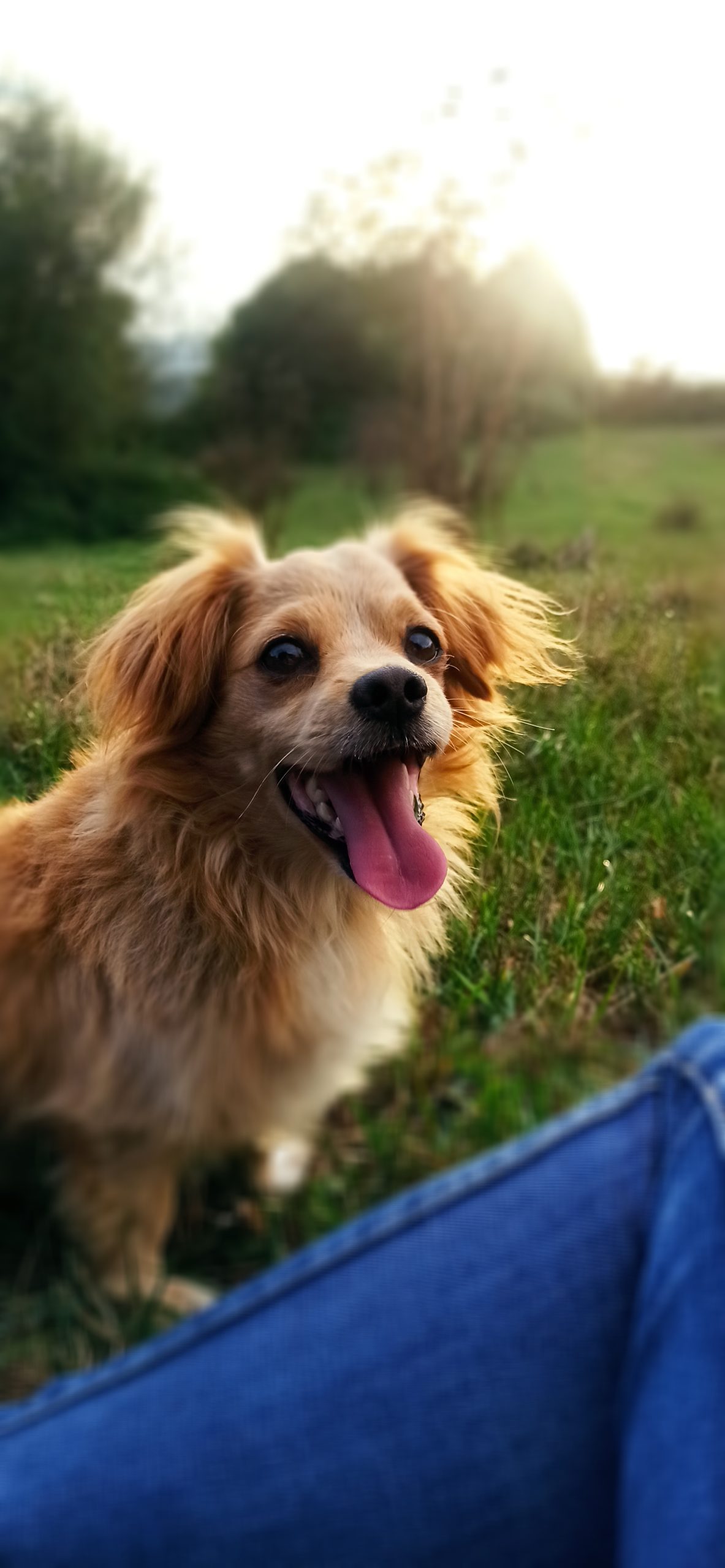 Zeus